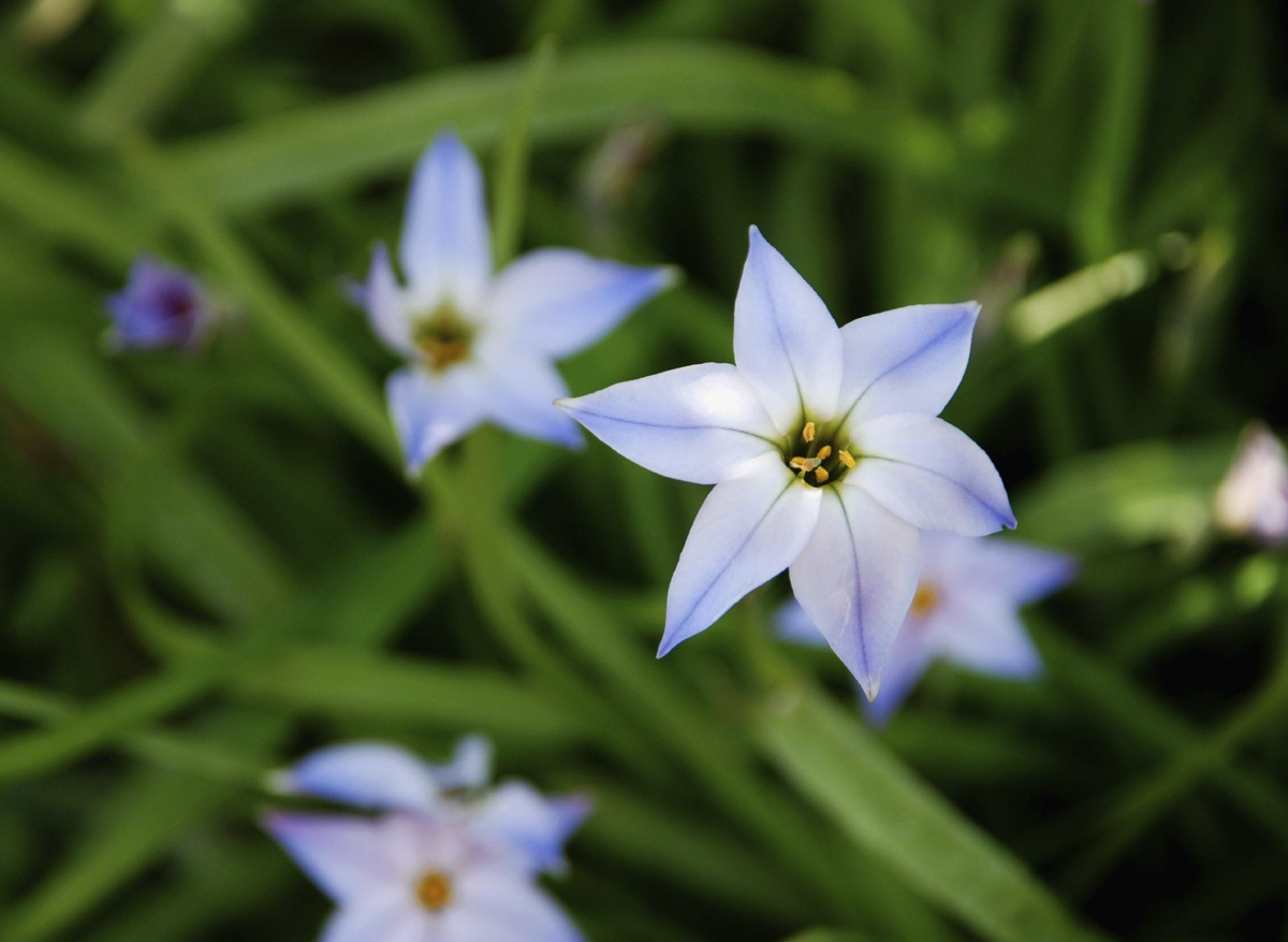 Источник фото: pinterest.com