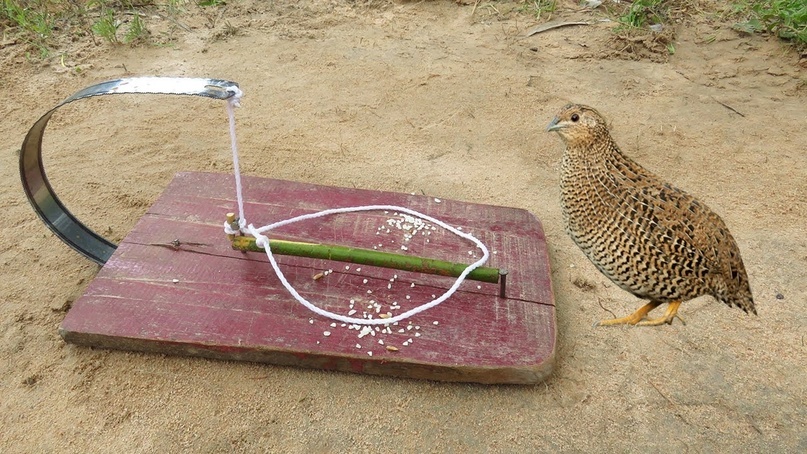 Создать карусельДобавьте описание