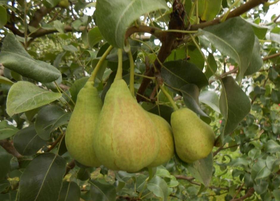 Все фото мои.