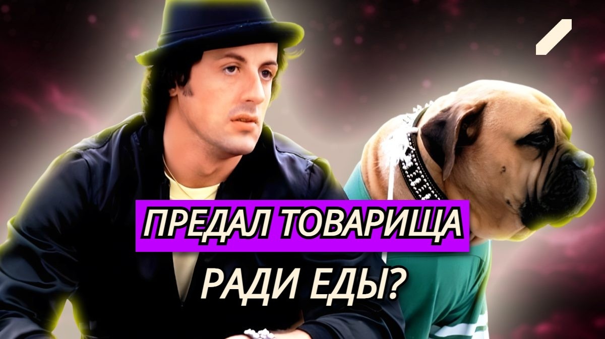 «Рокки» появился из нищеты, риска и... пса: почему Сильвестр Сталлоне продал своего любимого питомца за $40 и при чём тут легендарный экшн?