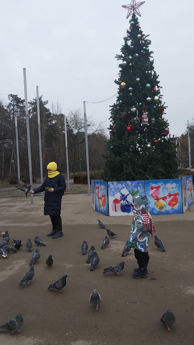 Фото автора