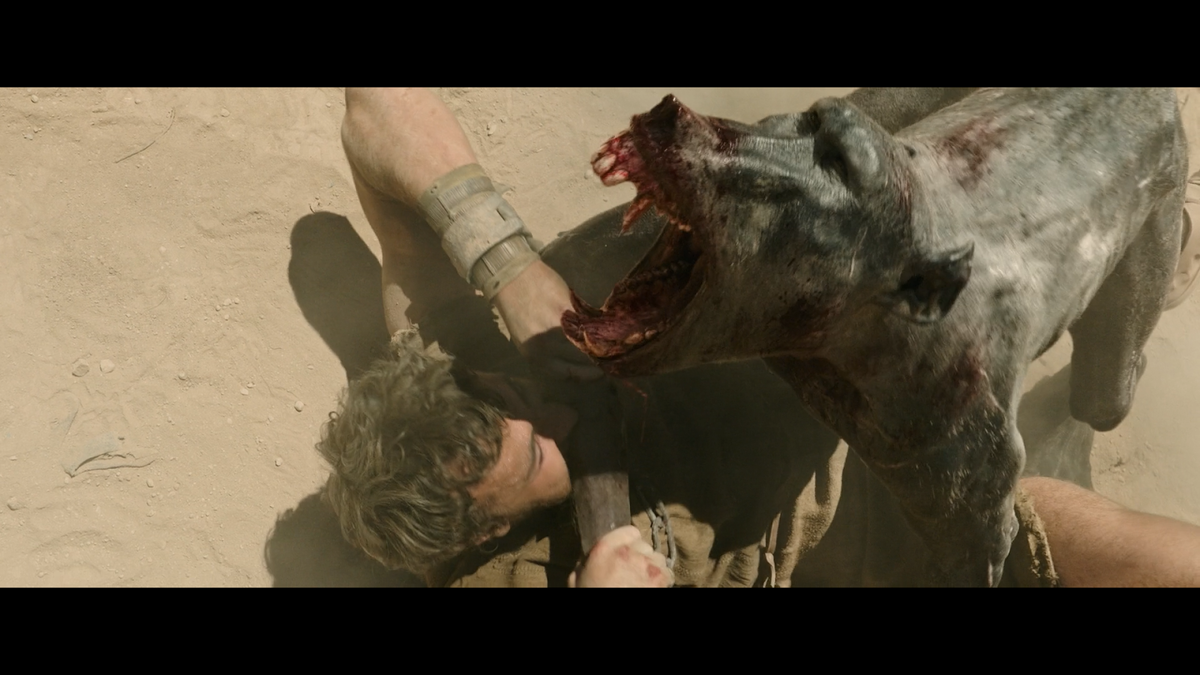 Кадр из фильма Гладиатор II (2024)