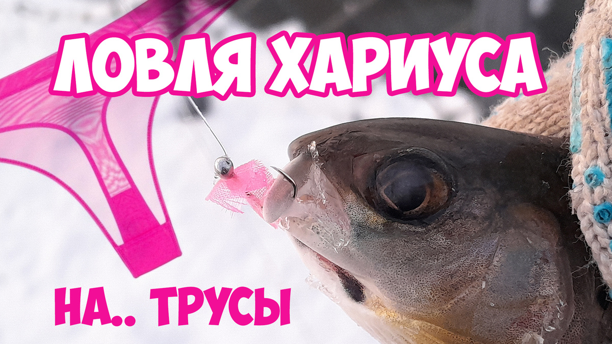 Рассказ-быль, хоть и похожий на анекдот.