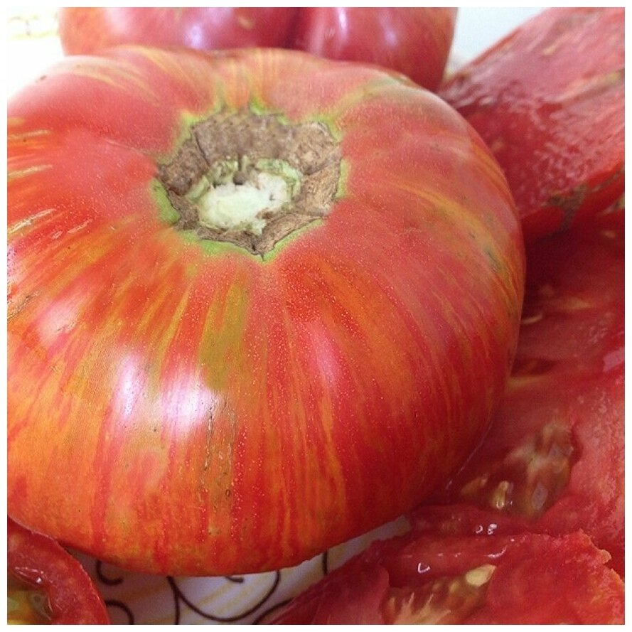 Гном Жар-птица