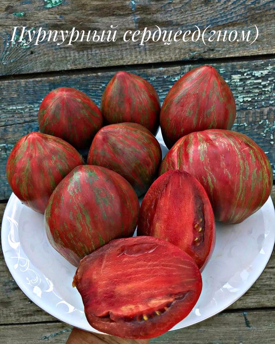 Гном Пурпурный сердцеед