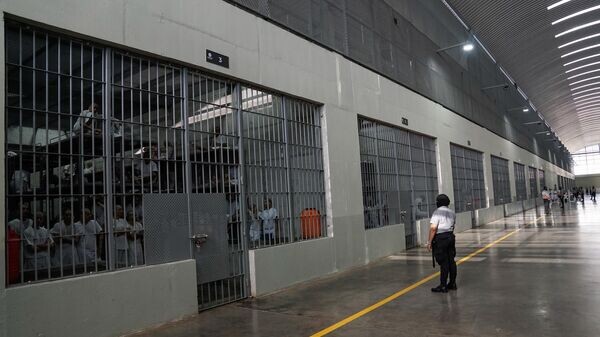    © Getty Images / Alex Peña