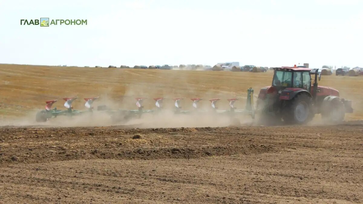 Фото:© Владимир Исаенко / Glavagronom.ru
Грант Агромотиватор для участников и ветеранов СВО: сумма, условия получения, где выдают?