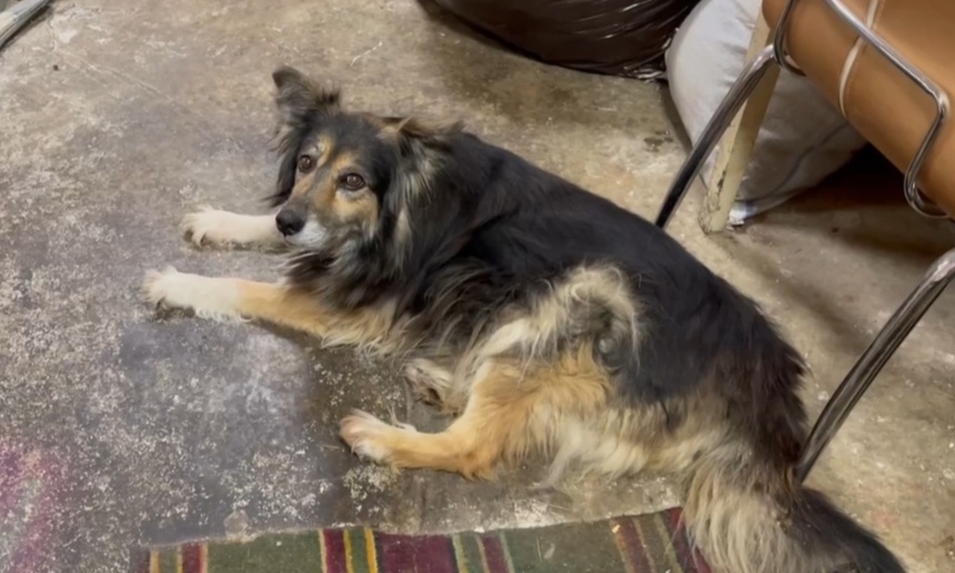 Сначала мы думали, что возраст 10+