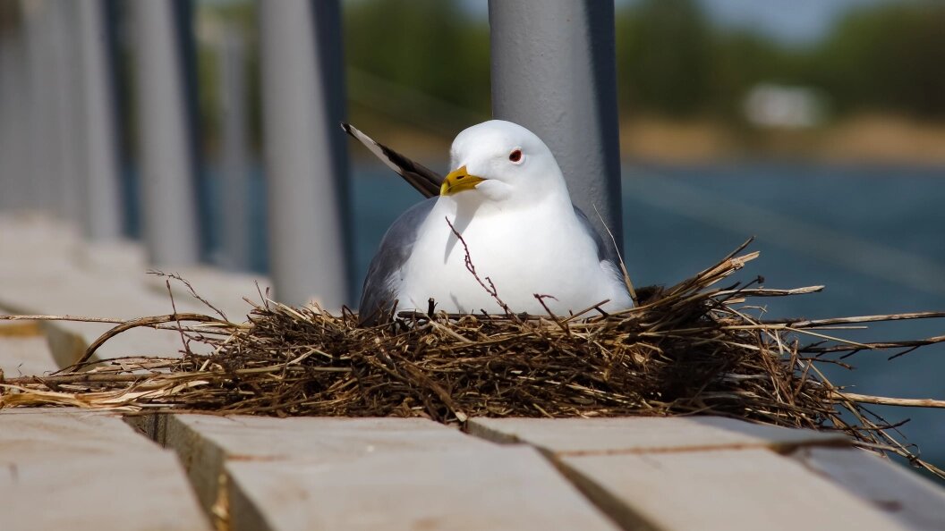    фото: Elena Mayorova/Global Look Press