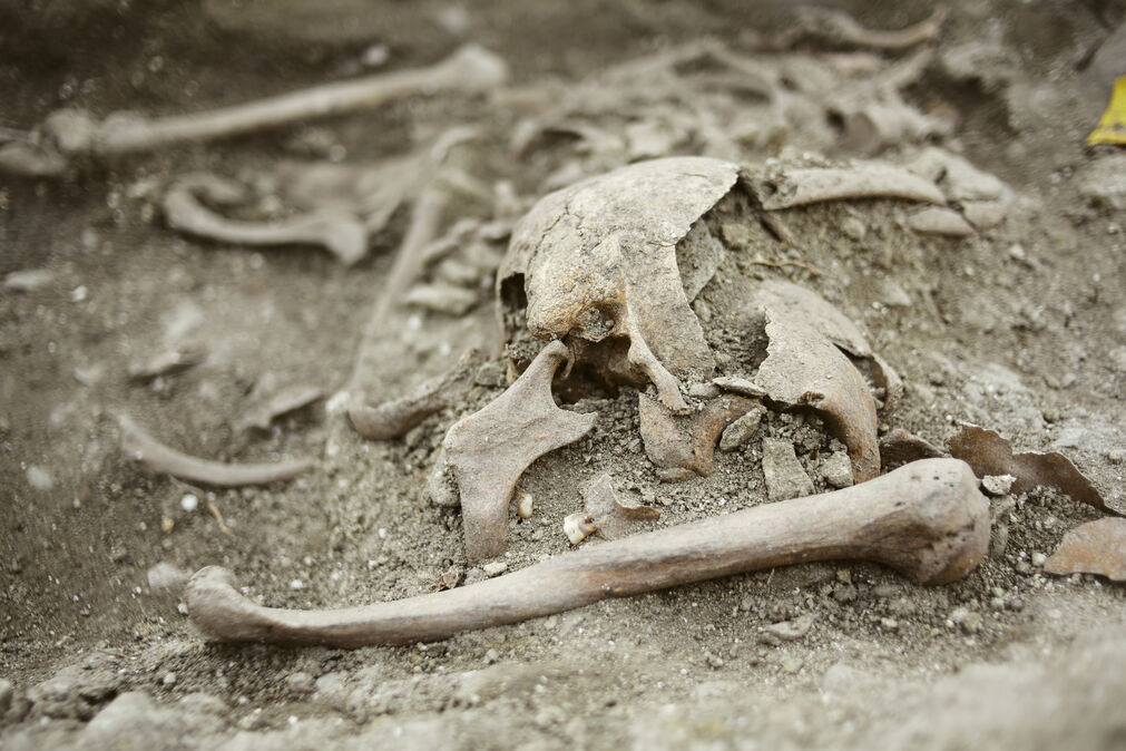 Фото захоронения