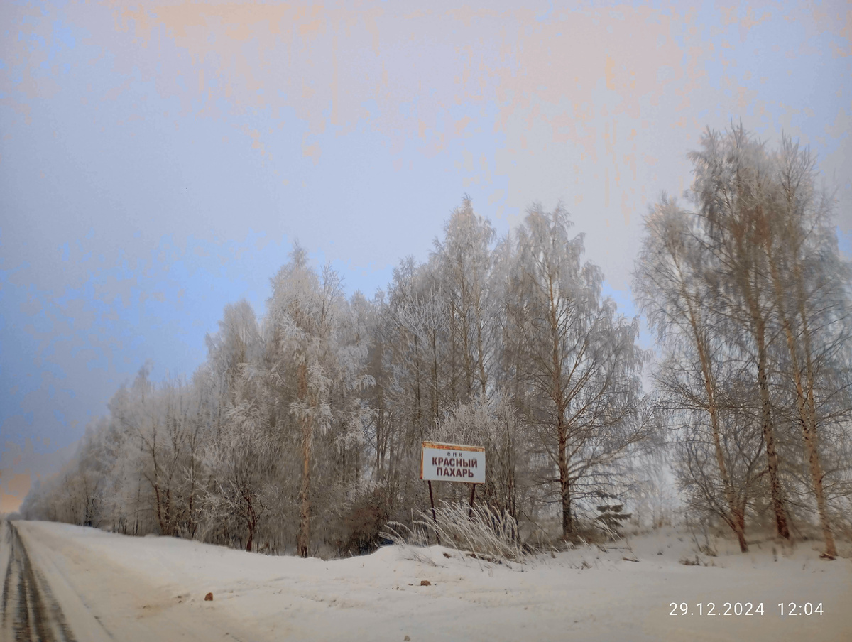 Колхоз в нашем селе «СПК Красный пахарь»