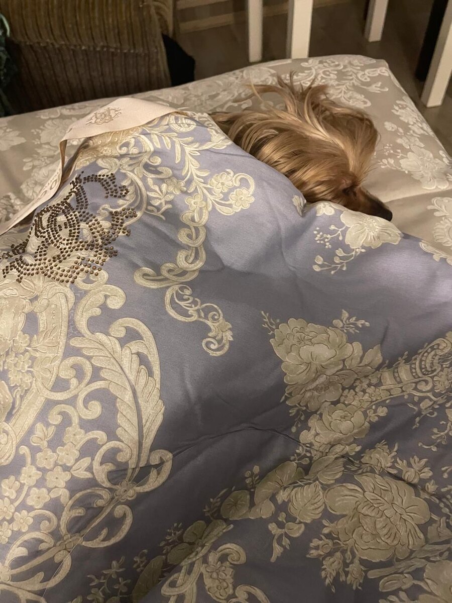 Вот такая красота. 