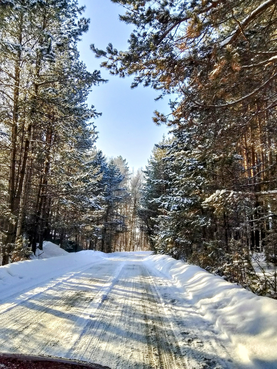 Зимняя красота 