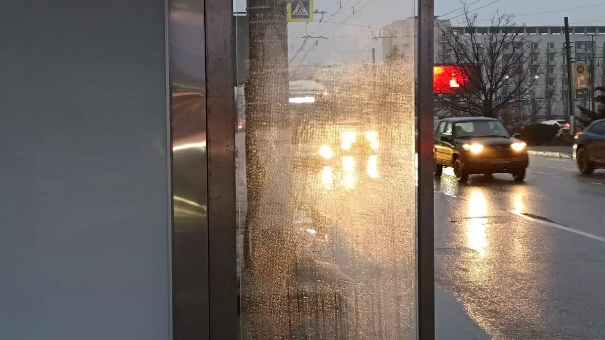     Источник: novostivolgograda.ru