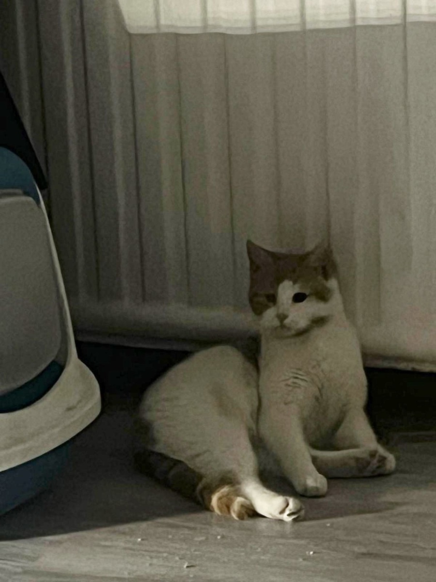 Асти (Кузя) дома