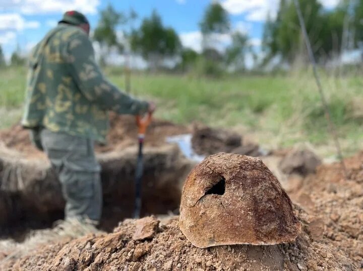 Камрад за увлекательной работой