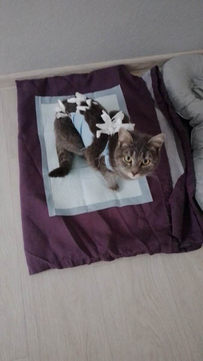 Дарья в новом прикиде