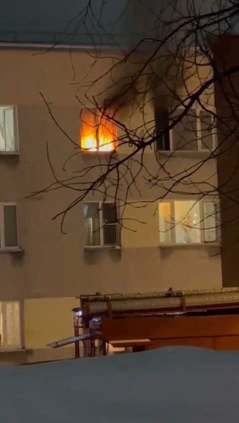   Фото: ВК/public216925460 Елена Хордина