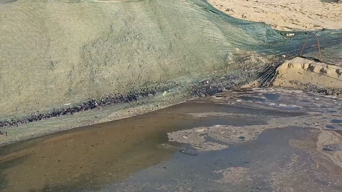    Фото: оперативный штаб Краснодарского края