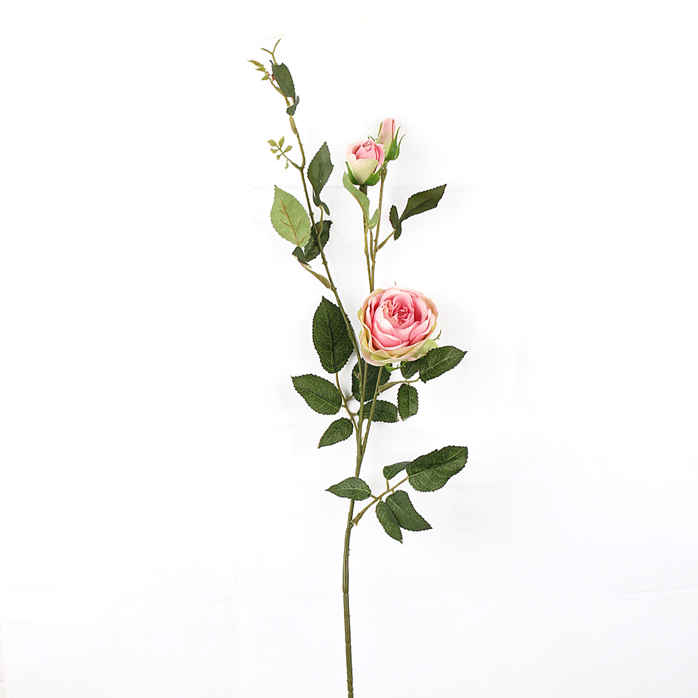 Роза с тремя бутонами