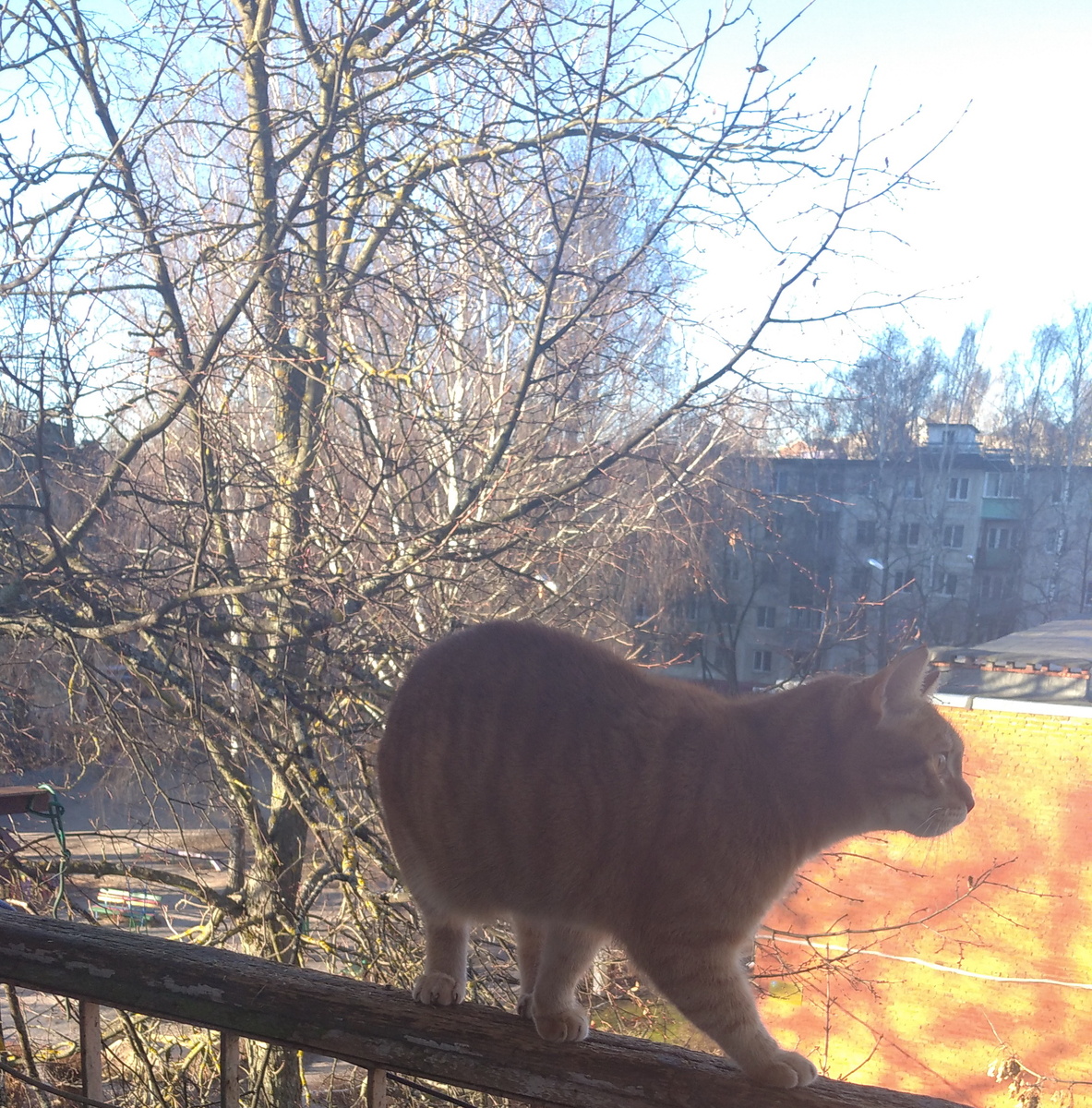 Личное фото