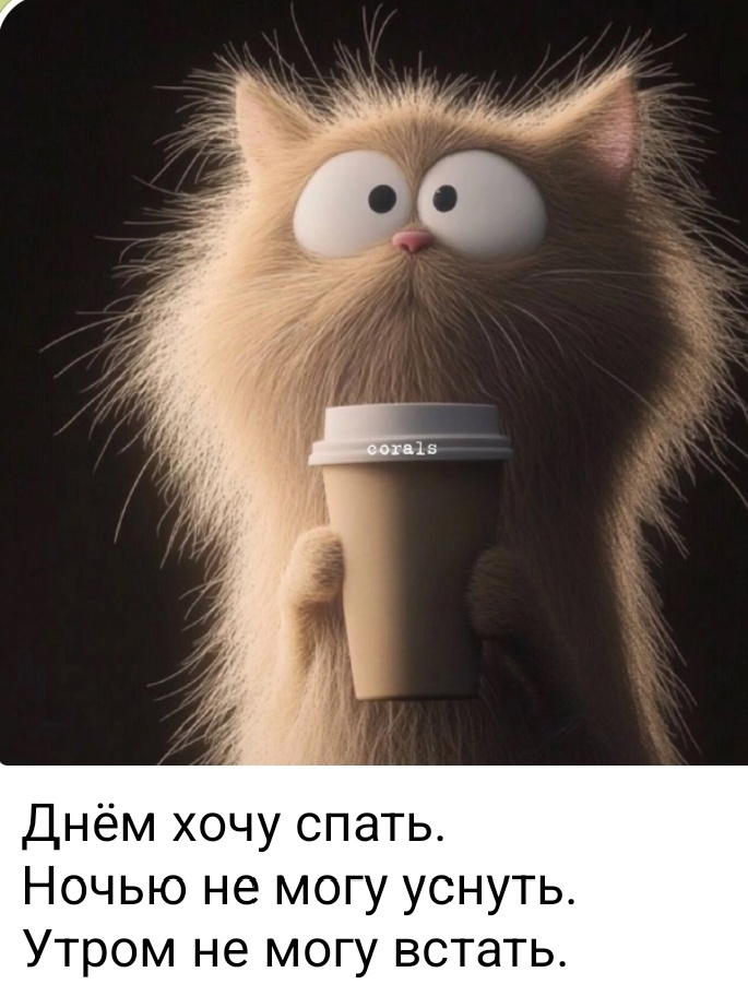 Фото из интернета. Это про меня..