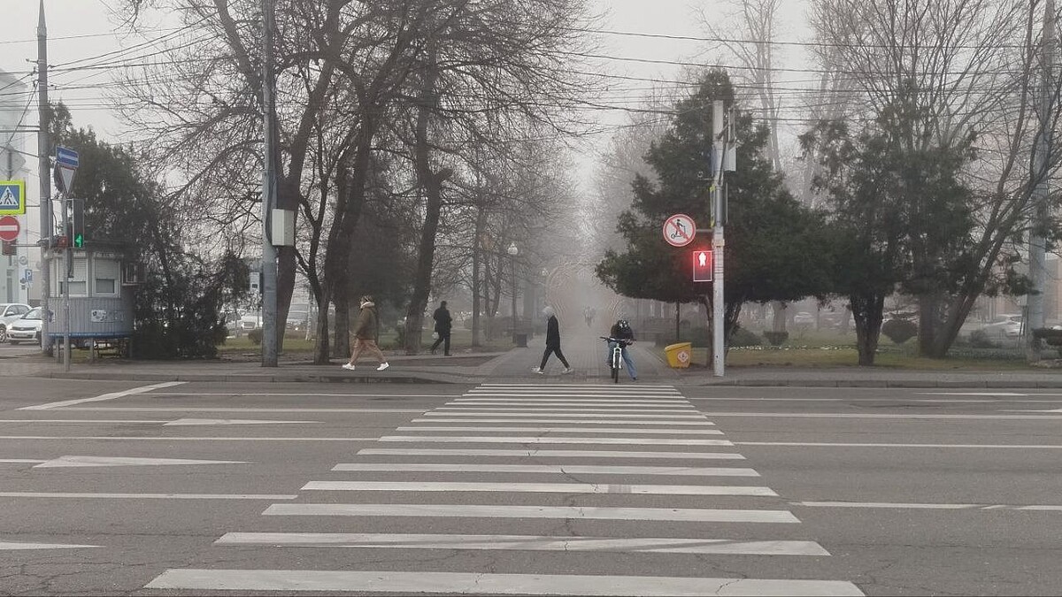    фото: телеканал «Краснодар»