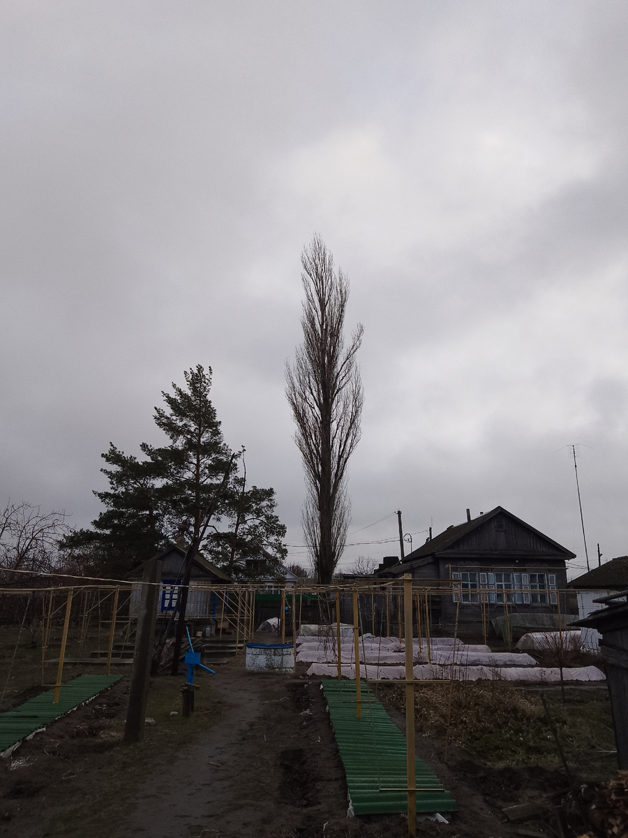 Как оно было