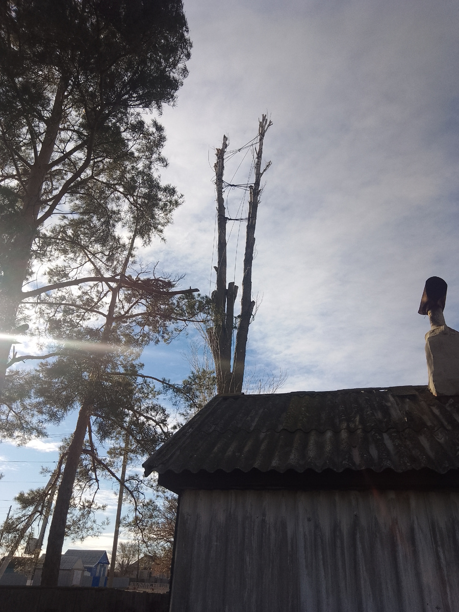 В процессе работ