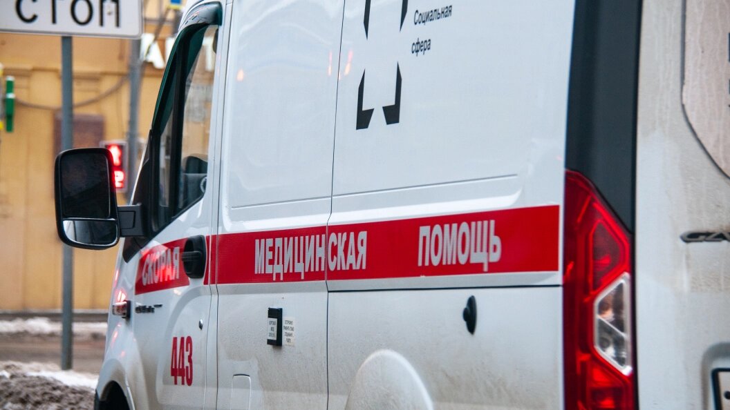    Фото: Svetlana Vozmilova/Globallookpress