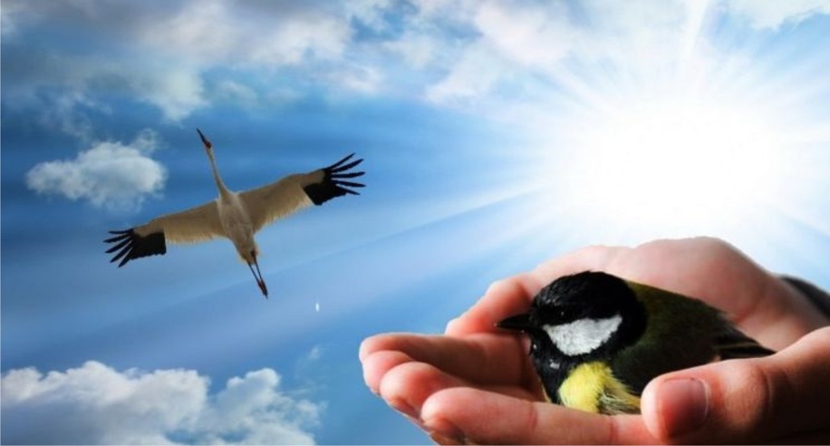 Изображение из открытых источников