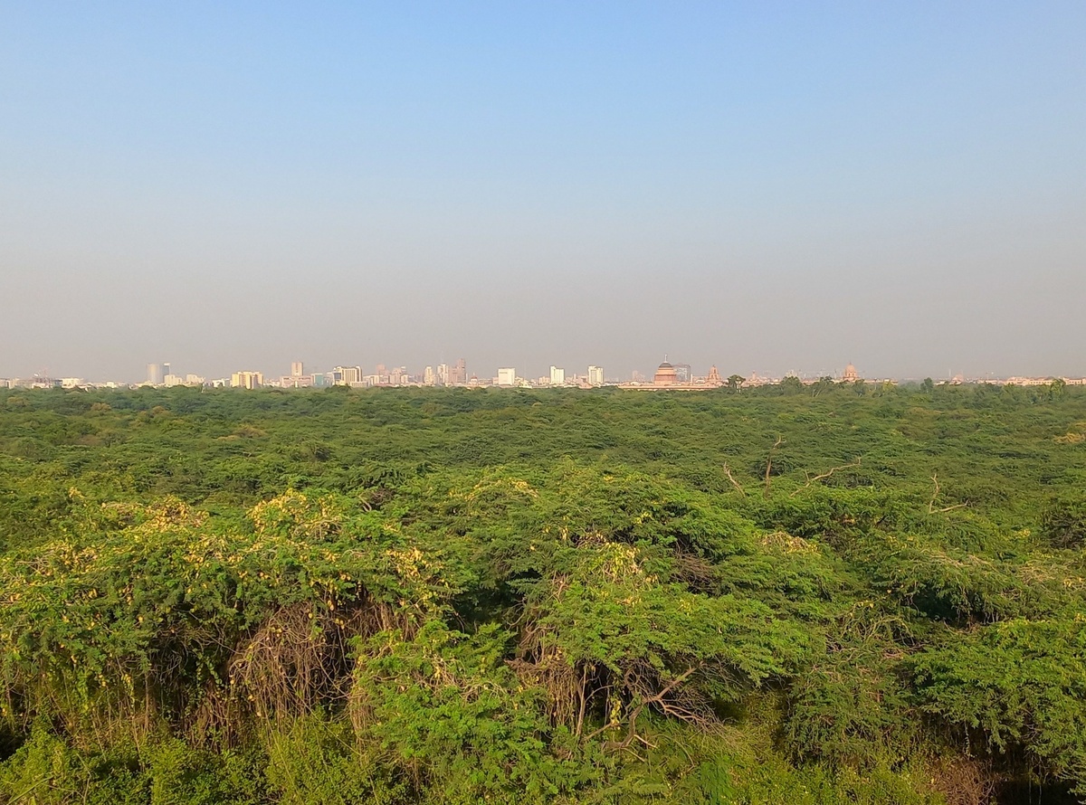 Malcha Mahal или где найти покой в Дели?