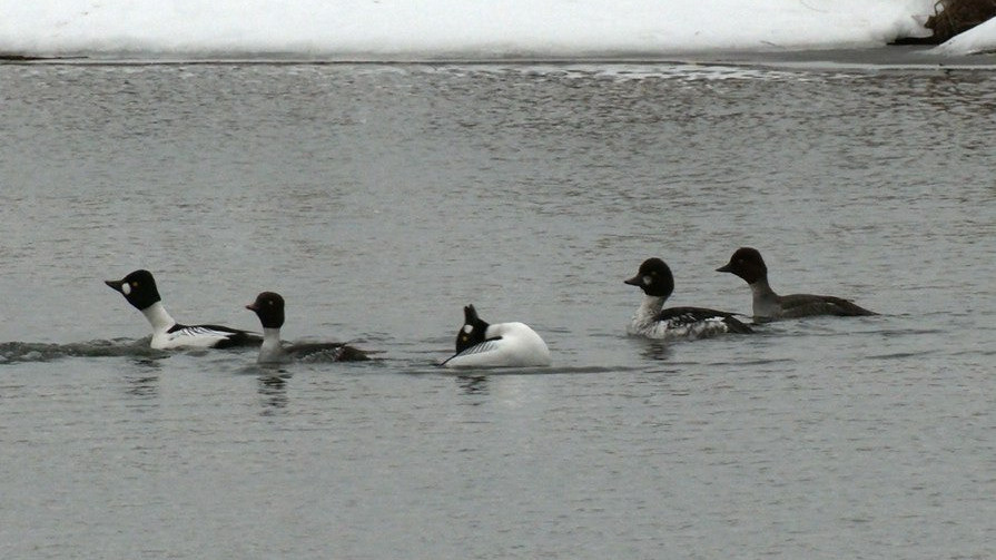     Источник: https://t.me/kazdoytvaripopare