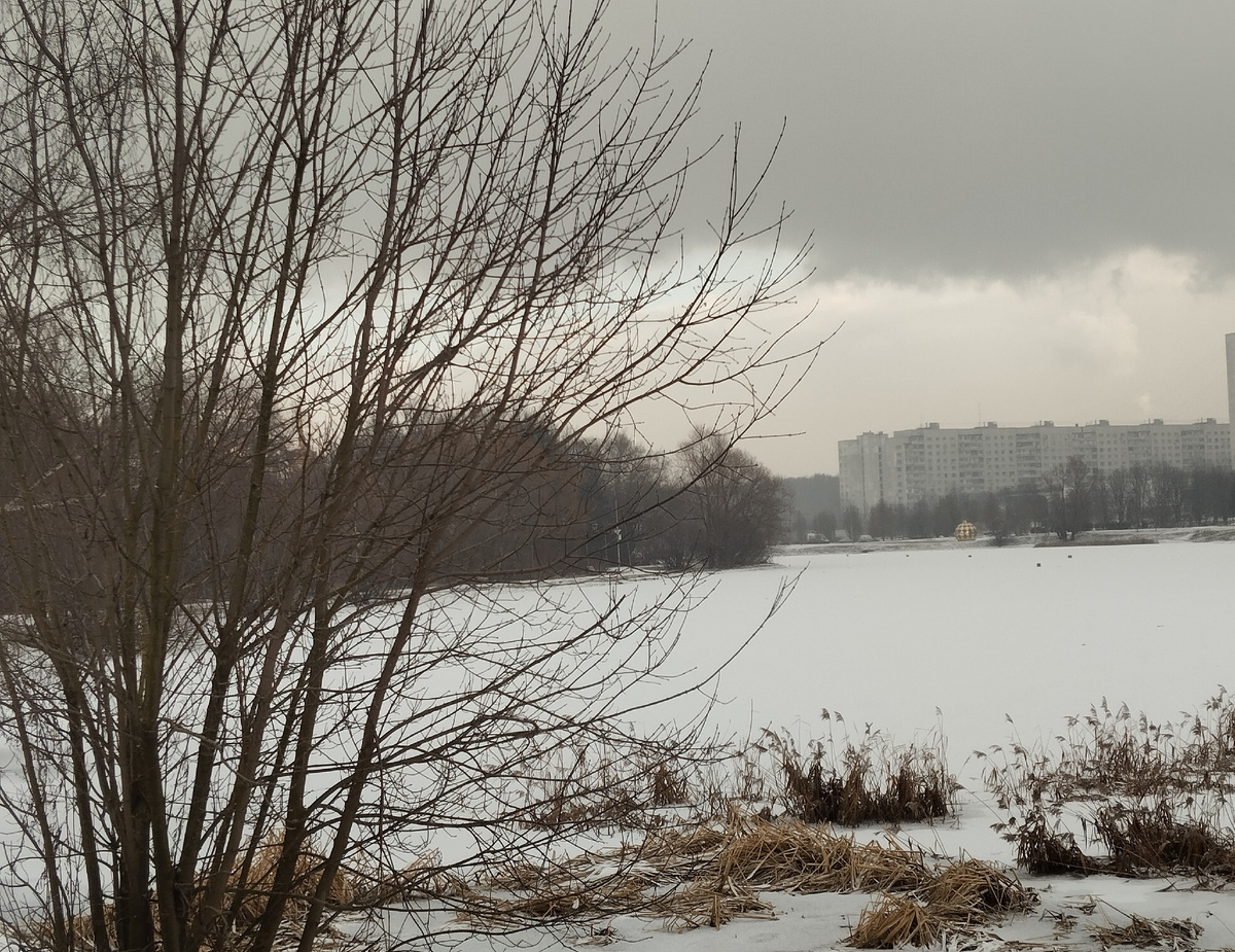 Алтуфьевский парк. 04.02.2025 г, вторник. ЗДЕСЬ и далее фото автора и(или) из личного архива автора, если не указано иначе.