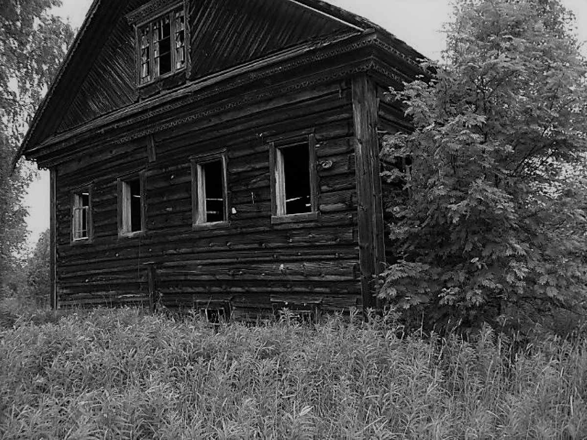 дом последних жителей Голошубова Ерофоновых

Местность очень привлекательная в смыле богатства природы,обилия грибов и ягод. Особенно ценились костромские грузди, за которыми презжали даже с города Галич в наши груздовики.