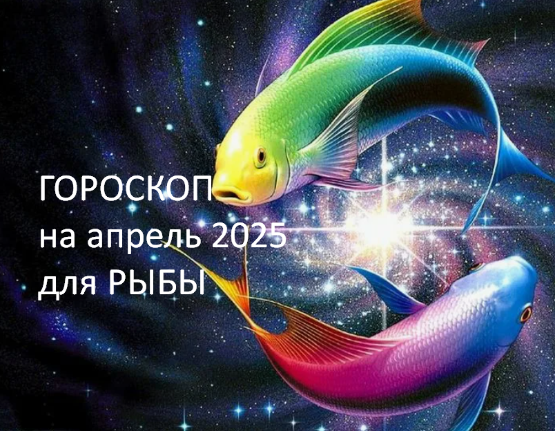 фото из открытого источника