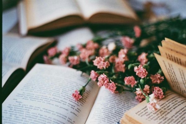 Изображение из интернета