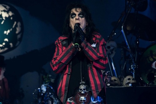 Элис Купер является одним из музыкантов, которые принимали участие в формировании такого жанра, как хэви – метал. В начале своей музыкальной карьеры рокер экспериментировал с разными музыкальными стилями. Он исполнял хард – рок, арт – рок, поп – рок и индастриал. Известность музыканту принесли сценический образ, актёрское мастерство и выступления, стилизованные под фильмы ужасов