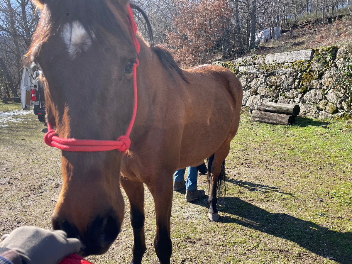 А это Факир