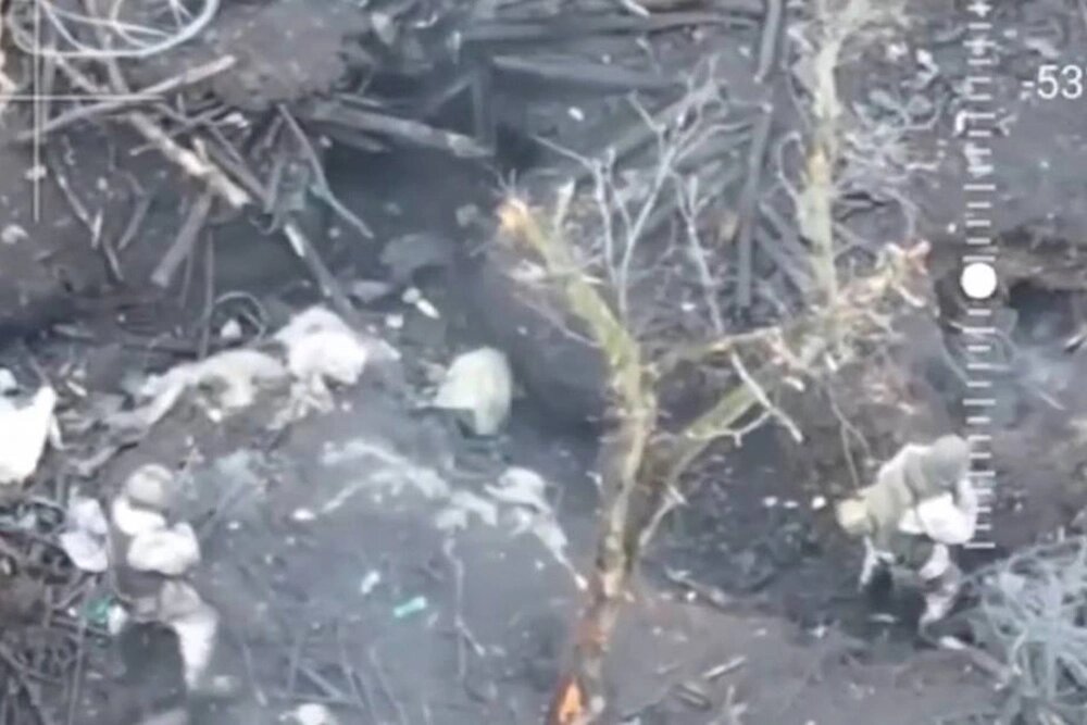    Штурмовки ведут бой на позициях ВСУ (вид с коптера). Фото: Министерство обороны РФ