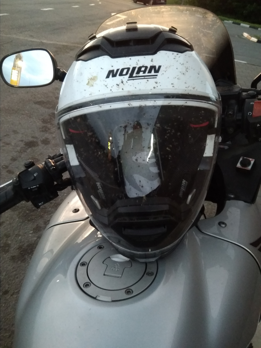 Безобразность кладбища погибших насекомых на белоснежном шлеме