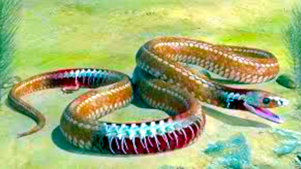 С четвероногой змеёй немного не сложилось. Но двуногая — точно змея.