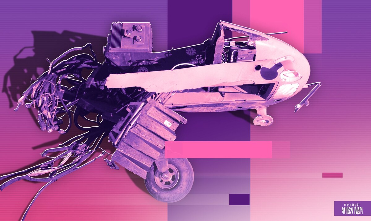    Обломки БПЛА / Источник: Иван Шилов (с) ИА REGNUM