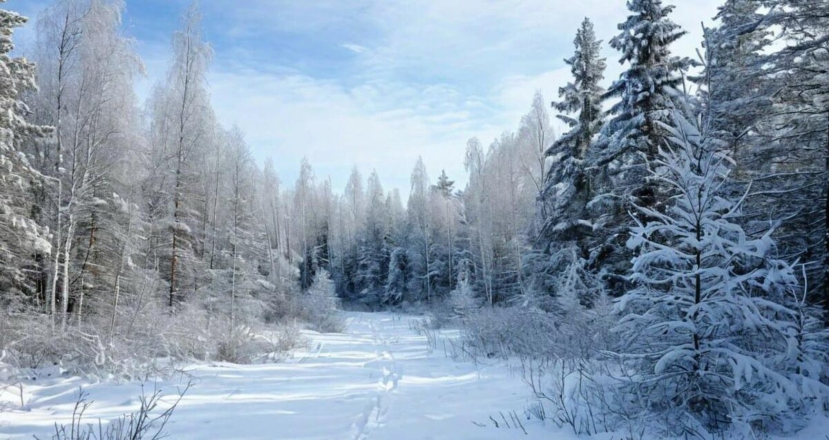 Скорее тайга, чем лесотундра