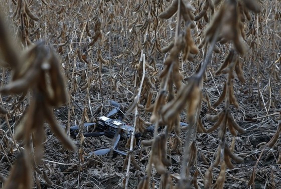     Наталья Шатохина/NEWS.ru