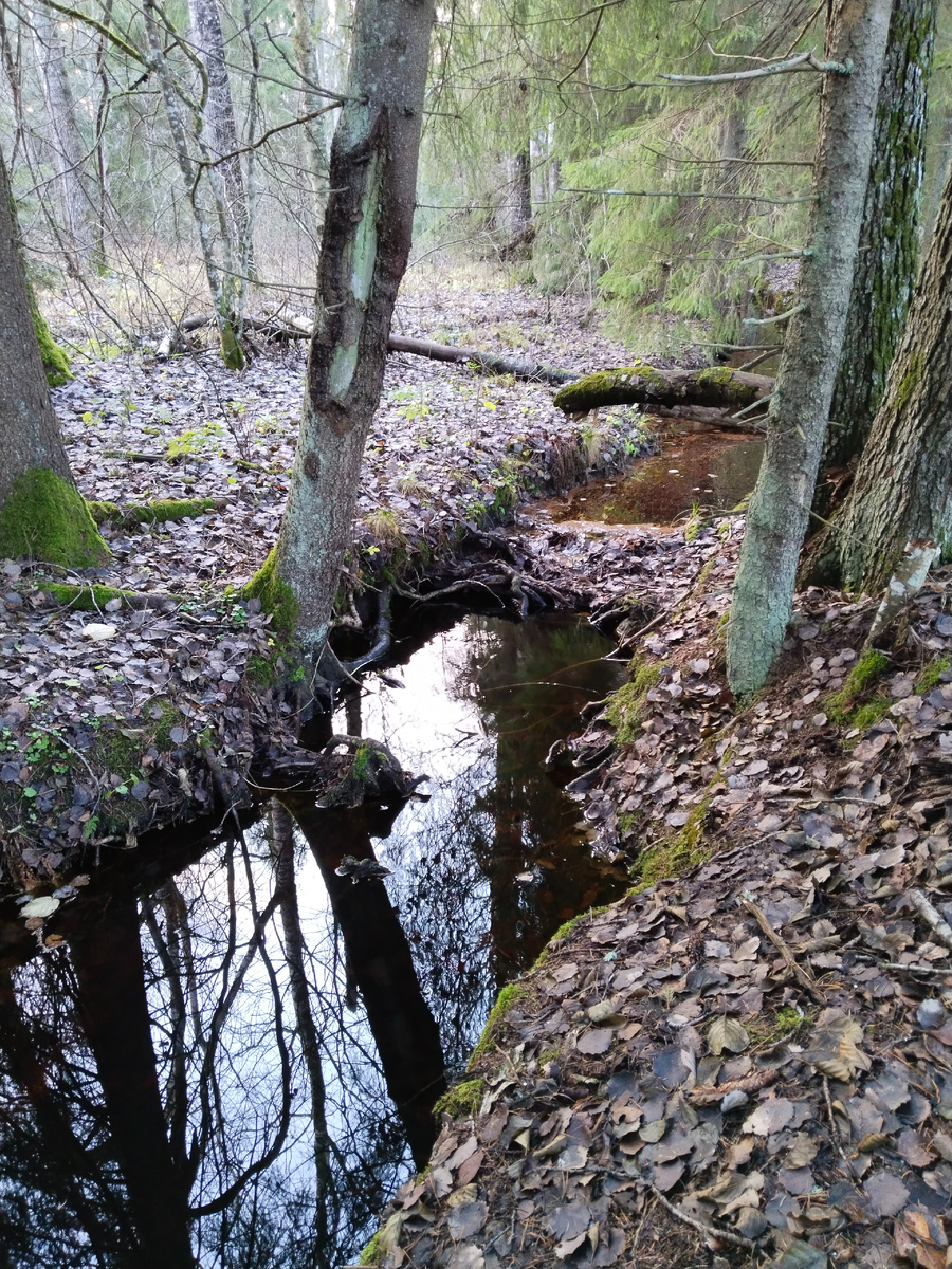 Землянки всегда у воды.