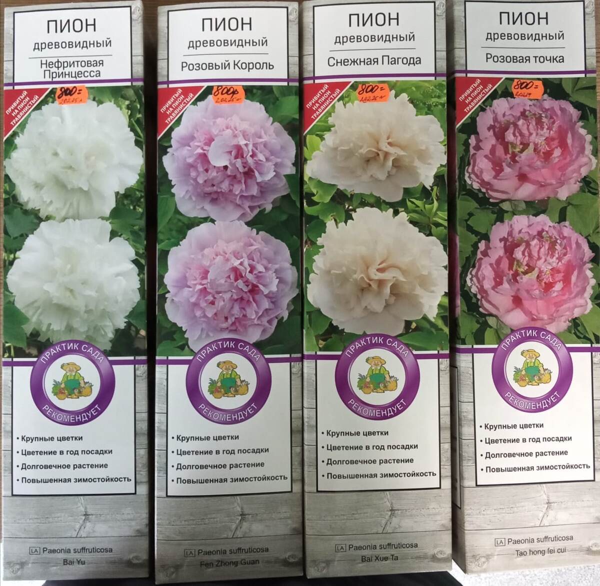 Понравился пион "Розовая точка"