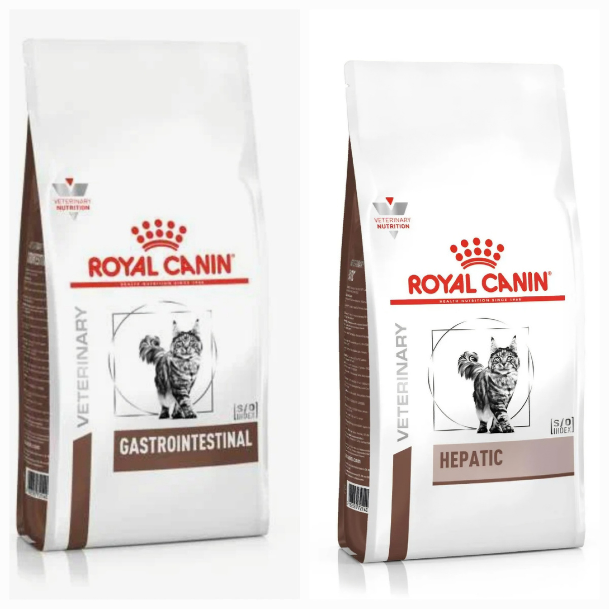 Фото автора. Вот такой корм нужен Арашику.