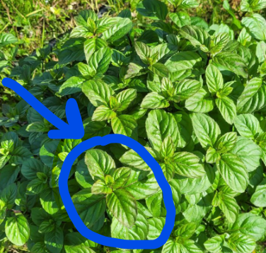 100% попадание, класс!