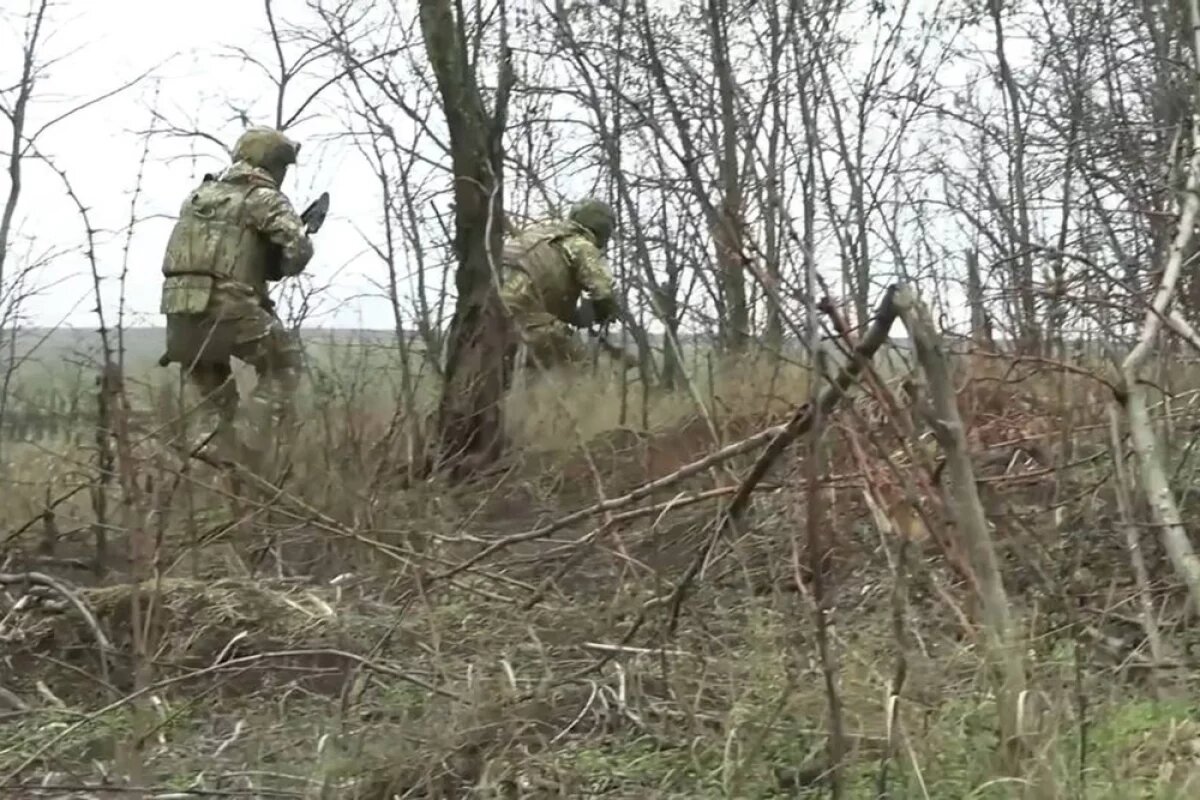    Снайперская пара следует на позицию.